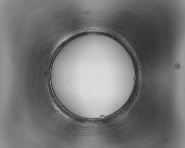X0000110760625200906150930