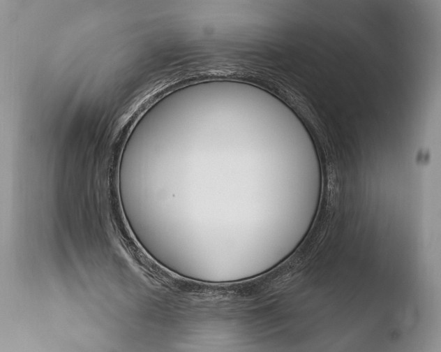 X0000110760626200906150930