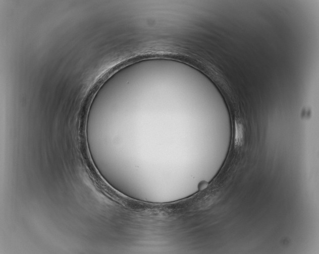 X0000110760627200906150930