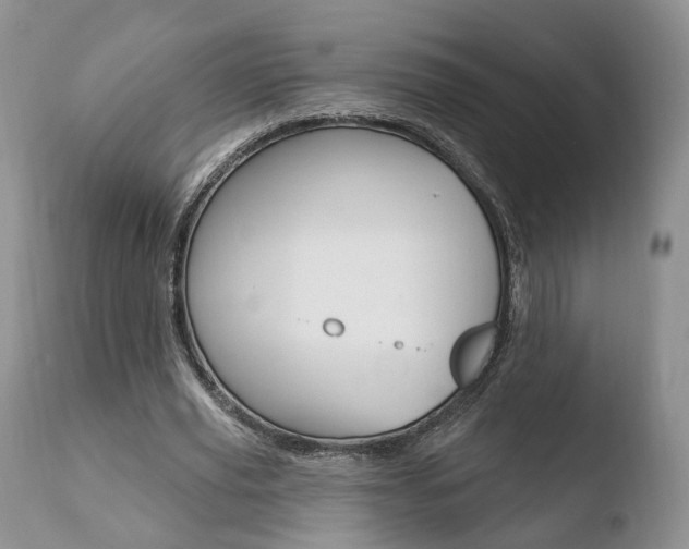 X0000110760629200906150930