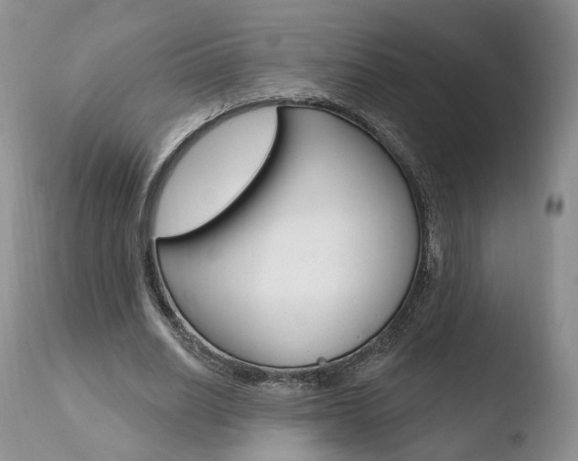 X0000110760630200906150930