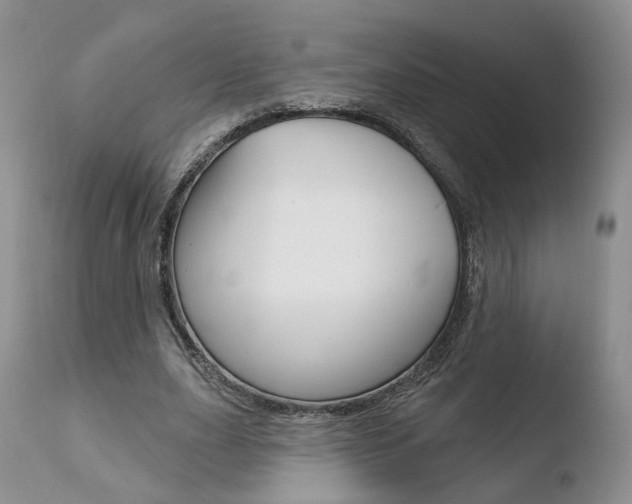 X0000110760631200906150930