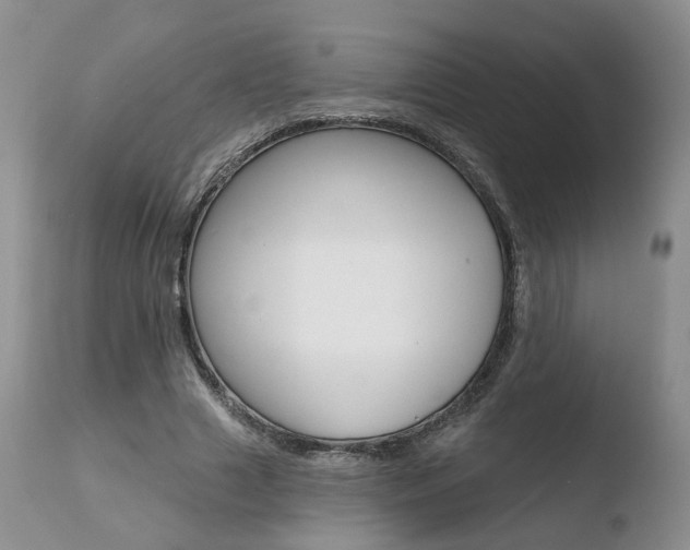 X0000110760633200906150930