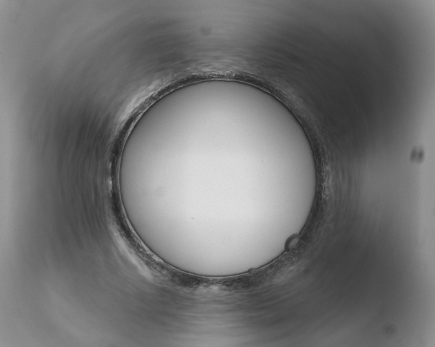 X0000110760634200906150930