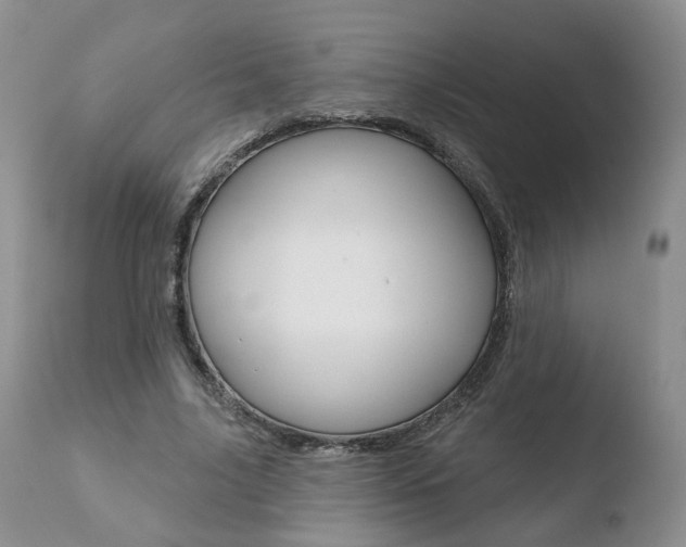 X0000110760635200906150930
