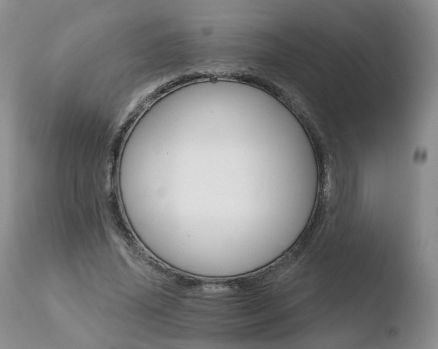 X0000110760636200906150930