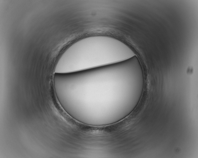 X0000110760637200906150930