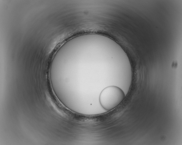 X0000110760638200906150930