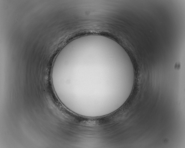 X0000110760639200906150930