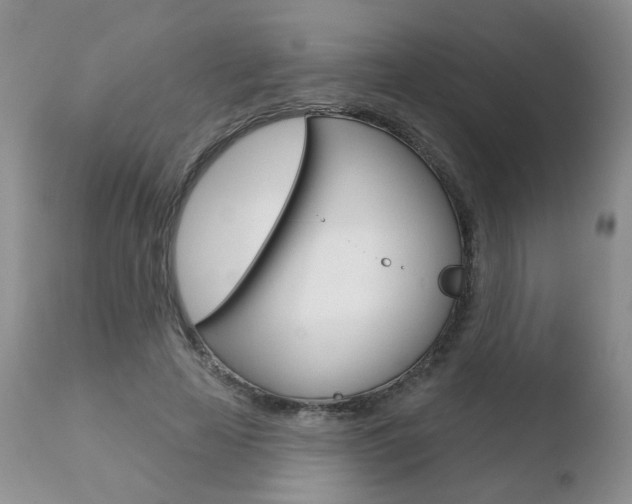 X0000110760641200906150930