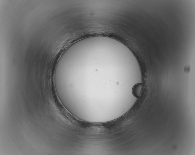 X0000110760642200906150930