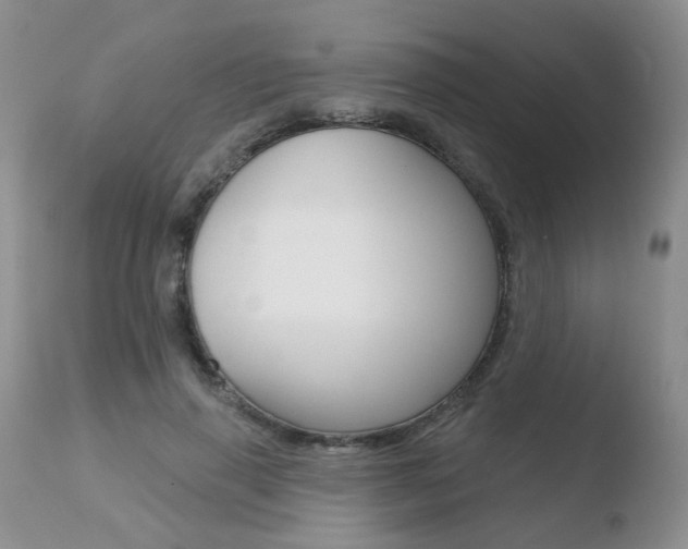 X0000110760645200906150930
