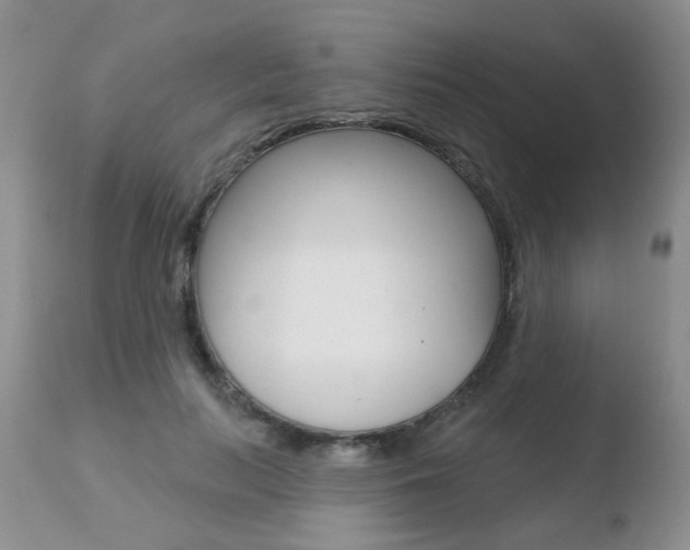 X0000110760647200906150931