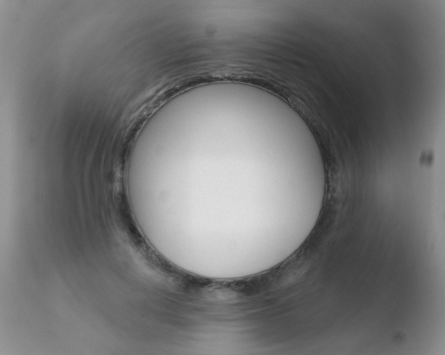 X0000110760648200906150931