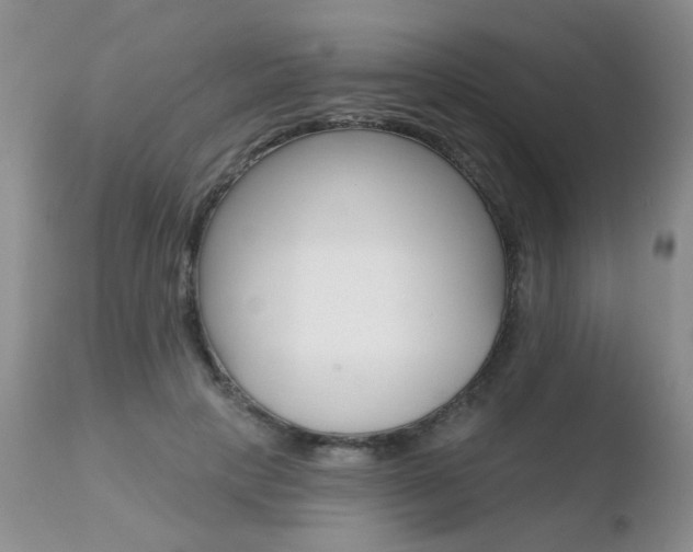 X0000110760649200906150931