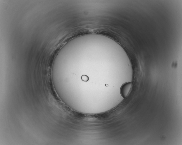 X0000110760650200906150931