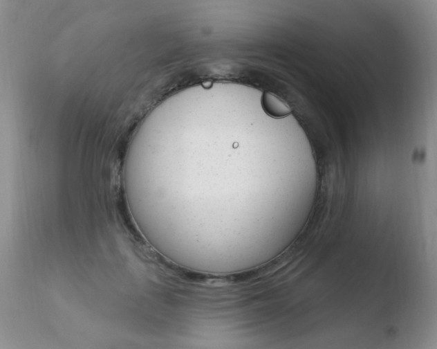 X0000110760651200906150931