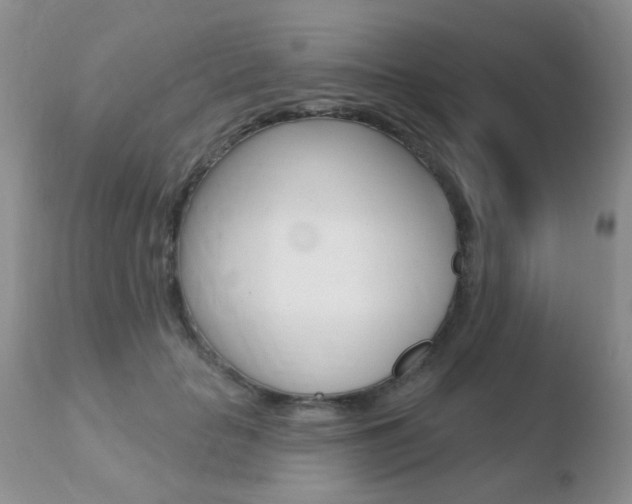 X0000110760653200906150931
