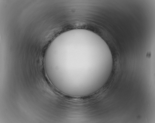 X0000110760654200906150931
