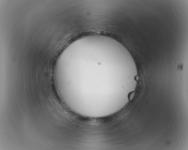 X0000110760656200906150931