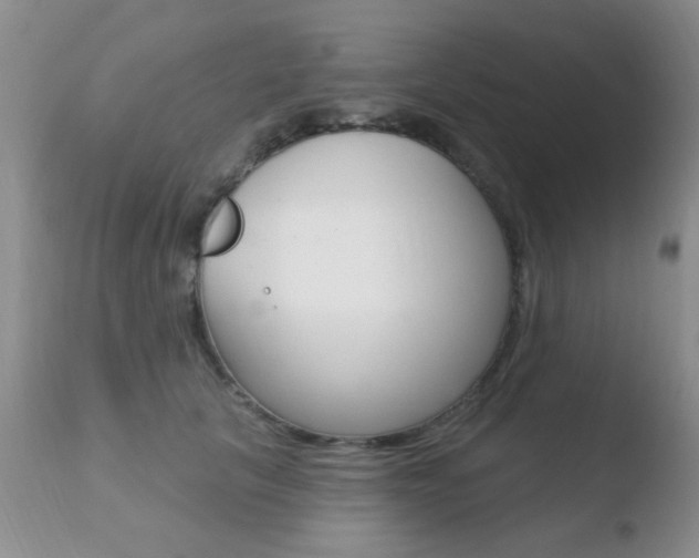 X0000110760657200906150931