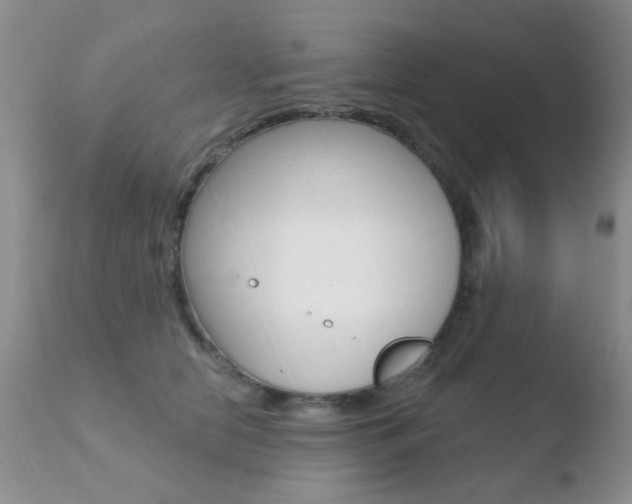X0000110760658200906150931