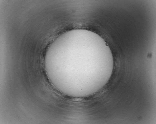X0000110760659200906150931
