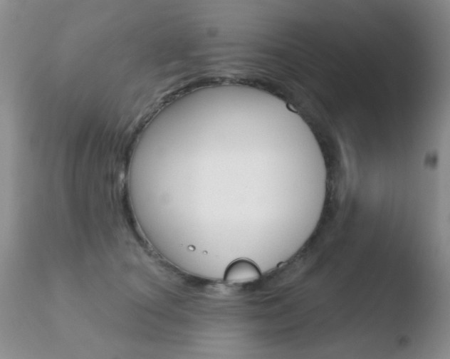 X0000110760660200906150931