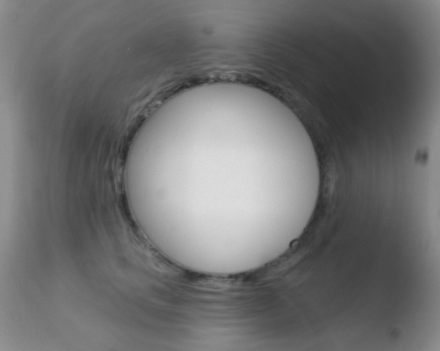 X0000110760661200906150931