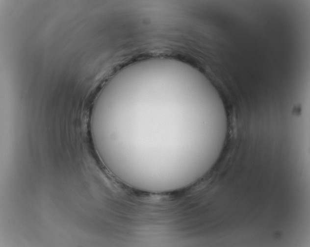 X0000110760664200906150931