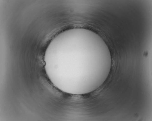 X0000110760666200906150931