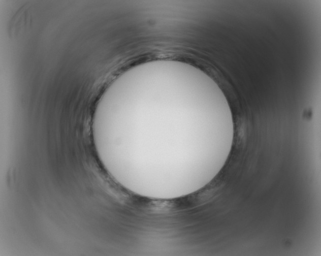 X0000110760667200906150931