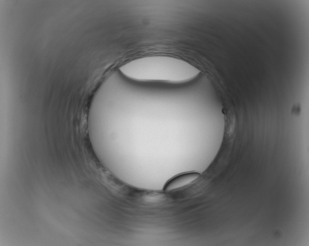 X0000110760669200906150931