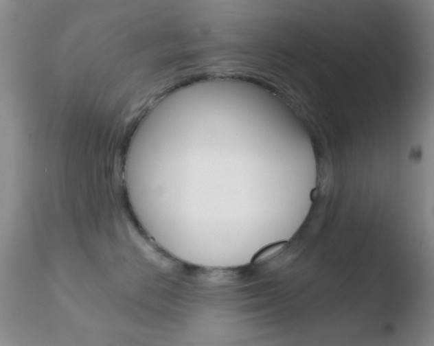 X0000110760670200906150931