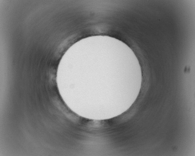 X0000110760672200906150931