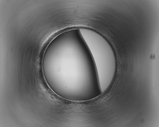 X0000110760676200906150930