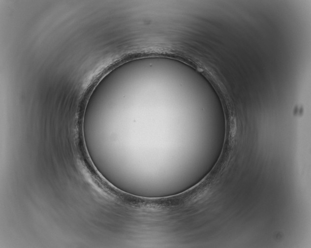 X0000110760677200906150930