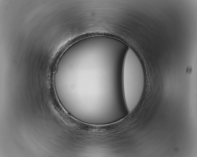X0000110760680200906150930