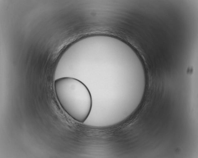 X0000110760681200906150930