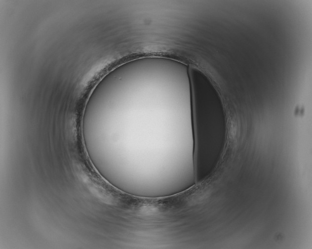 X0000110760684200906150930