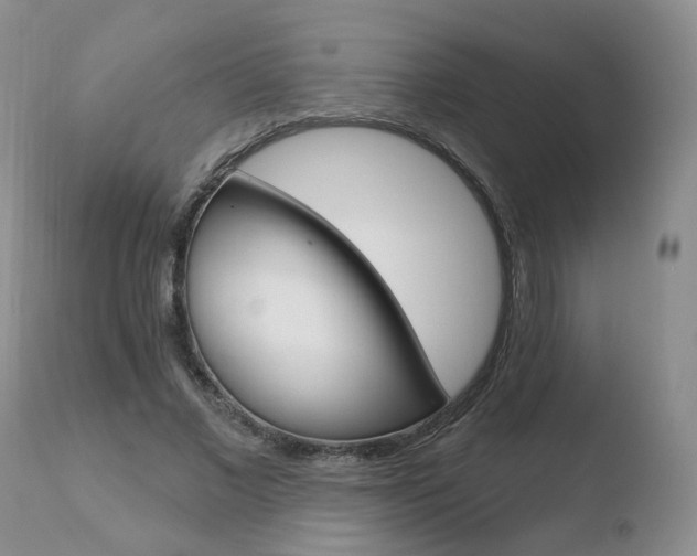 X0000110760685200906150930