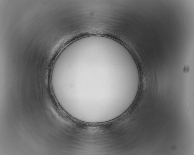 X0000110760686200906150930