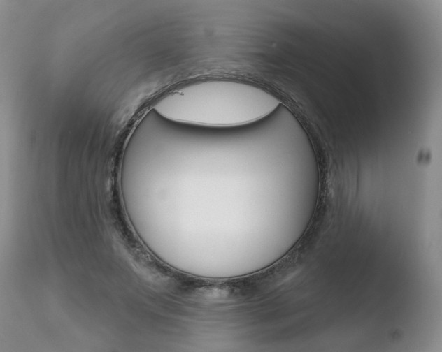 X0000110760687200906150930