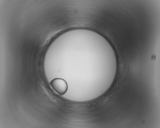 X0000110760688200906150930