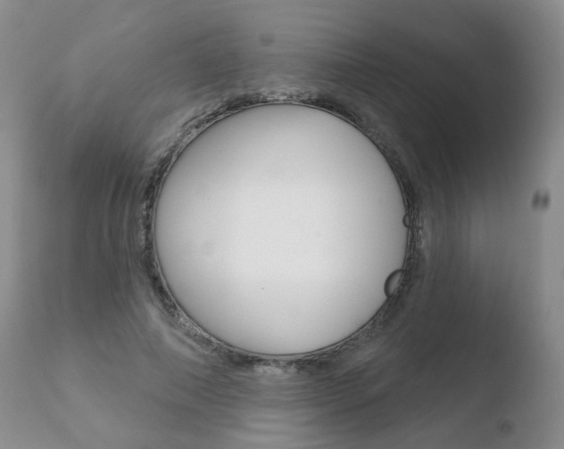 X0000110760690200906150930