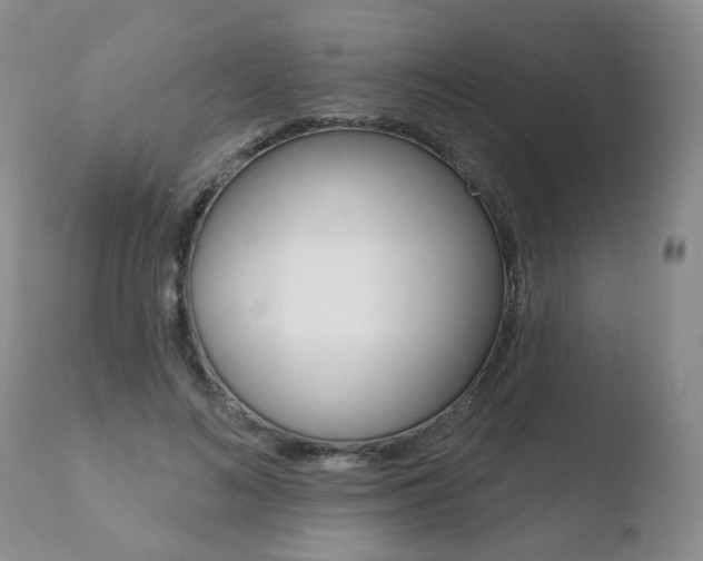 X0000110760692200906150930