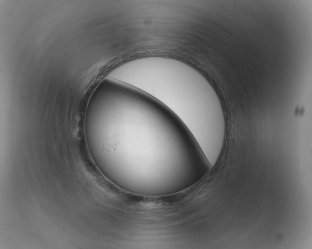 X0000110760693200906150930