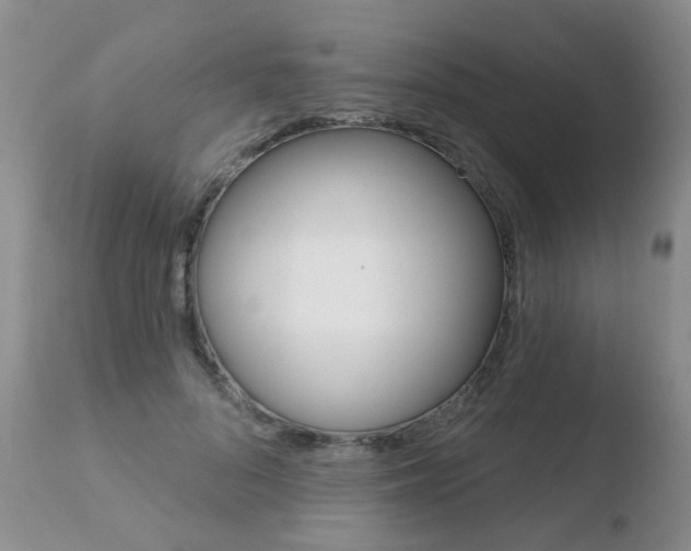 X0000110760696200906150930