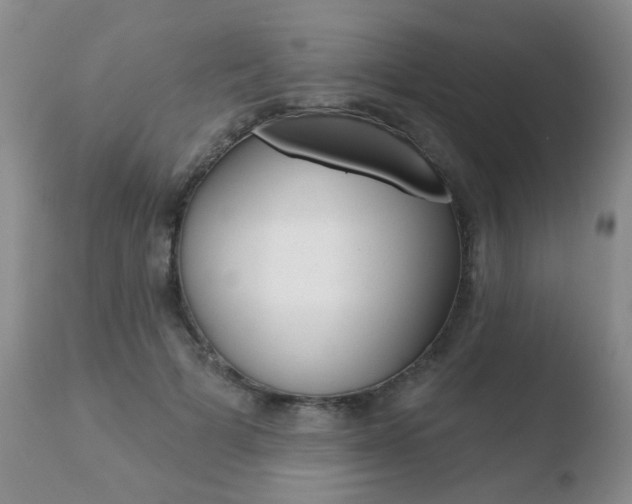 X0000110760697200906150930
