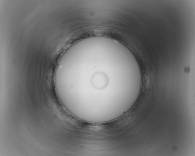 X0000110760698200906150930